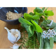 Herbal Remedies for Colds & Flus with Oscar Phoenix Saturday 28th May 2022